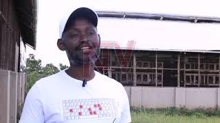 Zirobwe youth and women earning from breeding rabbits