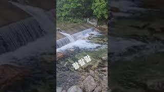 비온뒤 물소리  넘쪼아유~~