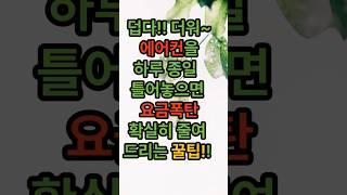 전기세 아끼는 꿀팁 영상 전기요금 폭탄? 에어컨 이렇게 쓰면 반값!｜선풍기 vs 에어컨 전기료 비교｜여름 전기세 절약 꿀팁#랭킹쇼츠 #쇼츠추천 #쇼츠