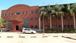 TOY GUN FOR MUSIC VIDEOS, STUDENT TELLS COURT