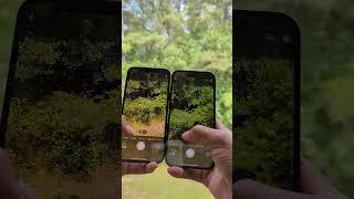 IPhone 14 Pro VS IPhone 12  - Design & Camera Zoom Test