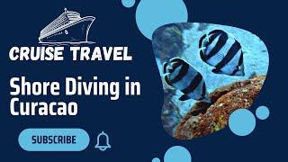 Shore Diving in Curacao - The Dive Bus