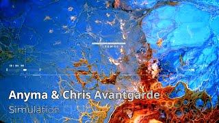 Anyma & Chris Avantgarde - Simulation @front-music [melodic techno collection]