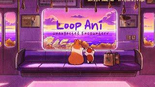 An Unexpected Encounter - Animation, loop animation, Doggie Corgi