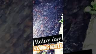 Flowing water rainy day #rain #flowingriver #flowingriver #reels #music #shortvideo #audience