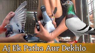 ये पठा भी देखलो आज | X Fighter Birds