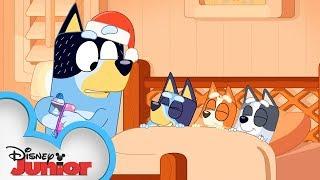 Merry Christmas from Bluey! | Bluey | Disney Junior