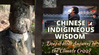 Daoism and the Climate Crisis: Exploring QingCheng Mountain and QingYang Palace in Chengdu, China