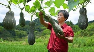 摘一篮牛腿南瓜，做三种金秋南瓜面点糕点，金黄蓬松绵软香甜|Cow Leg Pumpkins【闽湖阿嬷Fujian Grandma】