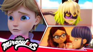 MIRACULOUS |  COMPILATION 4 - SEASON 5  | Tales of Ladybug & Cat Noir