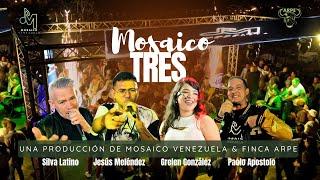 MOSAICO TRES   VIDEO OFICIAL