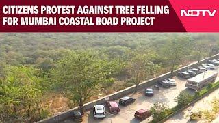 Mumbai Coastal Road | Residents Protest Against Tree Felling For Mumbai Coastal Road Project