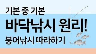 붕어낚시 입문자 필수! 붕어 바닥낚시, 찌올림 낚시 기본 원리 l 붕어낚시 입문 강좌 l 물가에선나무 붕어낚시 동영상 방송 채널