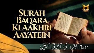 Sure Baqara Ki Aakhri Aayatein | By Shaikh Farooq Saeed Madani | Mercy TV