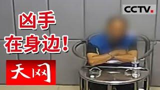 《天网》死者惨死屋内无人问津 高度腐烂的尸体和满地蛆虫 凶手究竟是谁？ | CCTV社会与法