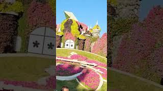 #shortvideo #dubai #miracle garden #satyabhama vlogs