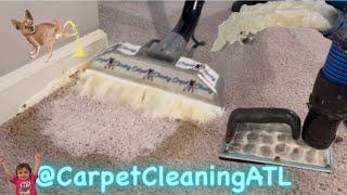 "Carpet Rescue: Extracting Urine and Odors for Good!" Amazing Results “Part One”