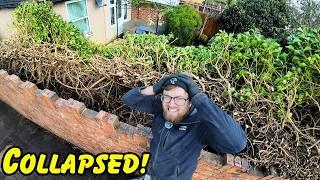 The Hedge We Cut Back Collapsed Across Their Garden!