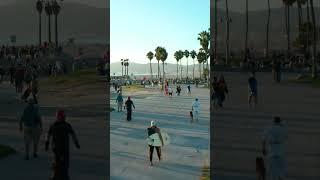 No vibes like Venice  #LA #LosAngeles #California #shorts