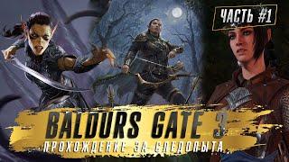 Baldurs Gate 3. СЛЕДОПЫТ. Прохождение Балдурс Гейт 3 на ТАКТИК. Лаэзель. Шэдоухарт