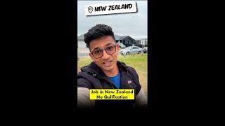 Job in New Zealand Without Qualification | BM Maniya | New Zealand Vlogs