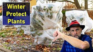 Right Way to Protect Plants in Winter - what works and what doesn't