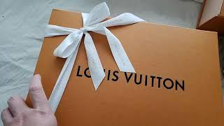 Louis Vuitton Dauphine VS Pochette Metis comparison unboxing #lvpochettemetis #lvdauphine #lvbag