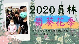 2020大明里蜀葵花海|南區公園|花期至四月底|大家一起來賞花|免費參觀