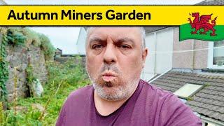 146. Autumn Welsh Miners Cottage Garden - Living Alone in Wales (November 2024)