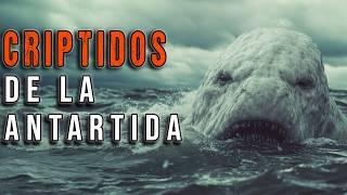 Los CRIPTIDOS MAS Misteriosos de la ANTARTIDA | Criptozoologia