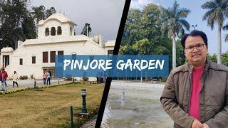 Pinjore Garden  I History and All Information I Yadvendera Garden I Vlog #29 I mango festival  2022