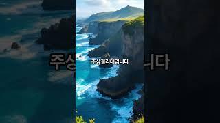 제주도 좋아?