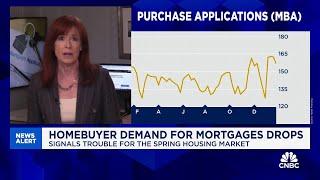 Homebuyer mortgage demand drops further, a troubling sign for the spring market