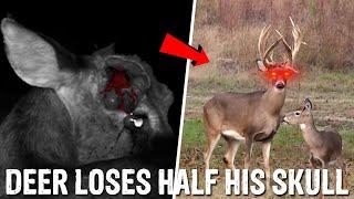 Hunting a HOMICIDAL Monster BUCK!!!