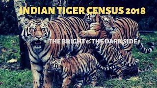 Tiger census 2018 India , the bright & the dark side || Jungle Safari