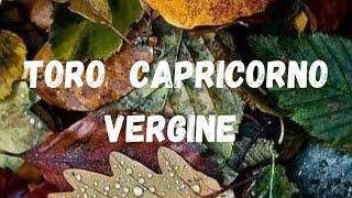 TORO ️ CAPRICORNO ️ VERGINE ️ L'UNIVERSO TI VUOLE DIRE CHE.....️