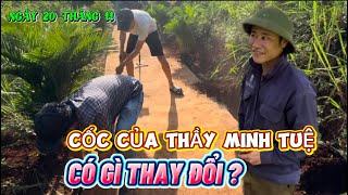 Cốc của Thầy Minh Tuệ có gì thay đổi ? Út Thìn đã làm gì ?#thichminhtue #minhtue