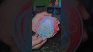 jewellery unboxing  kashish crafter arts