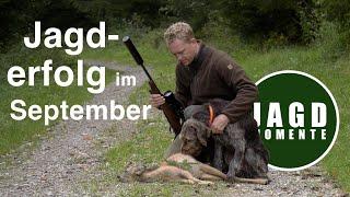 Jagderfolg im September | JagdMomente | 2021 | Jagdfilm No. 4