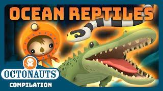 @Octonauts -  Awesome Ocean Reptiles!  | 2 Hours+ Full Episodes Marathon