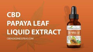 Health Benefits of CBD Papaya leaf liquid extract | Papaya leaves