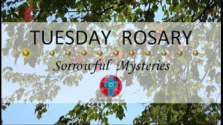 Tuesday Rosary • Sorrowful Mysteries of the Rosary  October 15, 2024 VIRTUAL ROSARY - MEDITATION