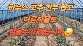 절실한 상황입니다.보시고 좋은방법이 있으시다면  댓글부탁드립니다.