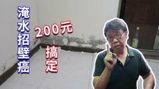 壁癌(淹水後遺症)其實不用怕 200元就搞定了  參考一下我們如何處理  海賊王diy日記