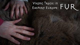 Viking Trade in Eastern Europe: Fur