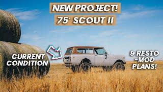 1975 International Scout II – a Vintage 4x4 Dream Come True | Built2Wander