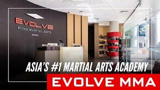 An Introduction to Evolve MMA: Asia's Top Martial Arts Organization