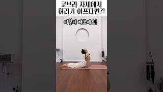 허리를 바로잡아 튼튼하게! #요가 #부장가사나 #코브라자세 #yoga