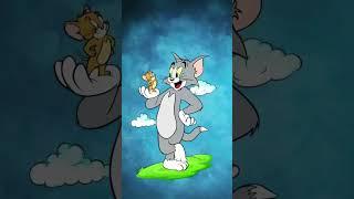 Tom and Jerry cartoon Best jodi