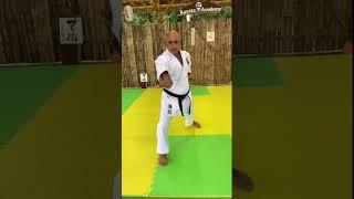 Kihon kata Shotokan karate